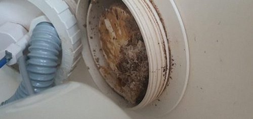해운대구 하수구막힘 재송동 하수구막힘 배관 상태 진단 육안과 영상 점검 비교