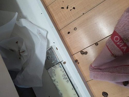 해운대구 하수구막힘 거름망을 세척하고 배수 상태를 확인하는 장면